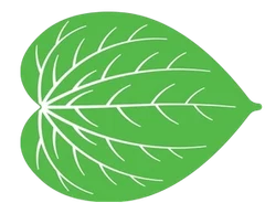 Betel leaf preview